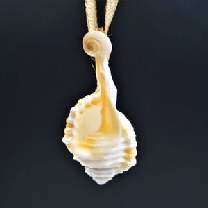 Vintage Conch Seashell Christmas Ornament Ocean Nature Nautical